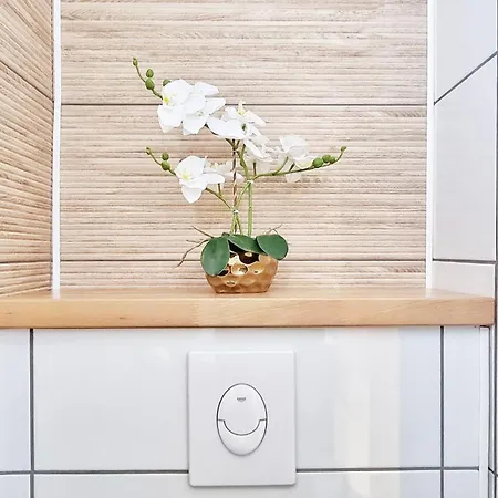 Le Cozy Urbain - Centre - Rbnb Daire *