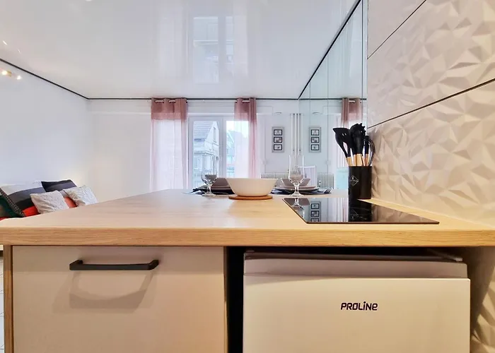 Le Cozy Urbain - Centre - Rbnb Appartement Colmar