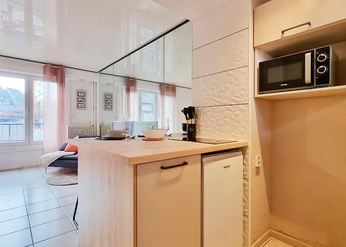 Le Cozy Urbain - Centre - Rbnb * Colmar