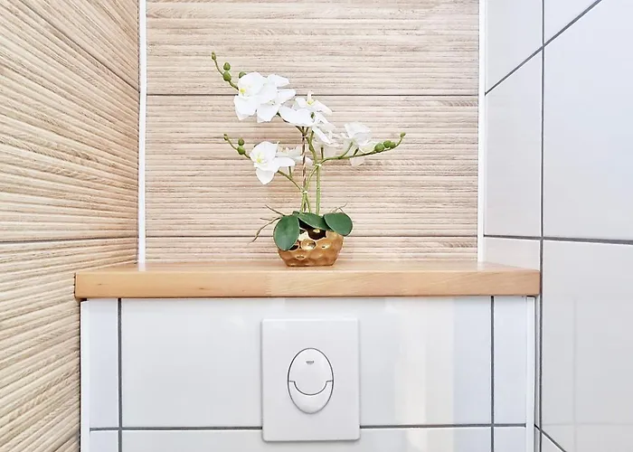 Le Cozy Urbain - Centre - Rbnb Appartement *